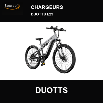 DUOTTS E29