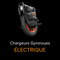 Cargadores para vehículos autoequilibrados & hoverboards