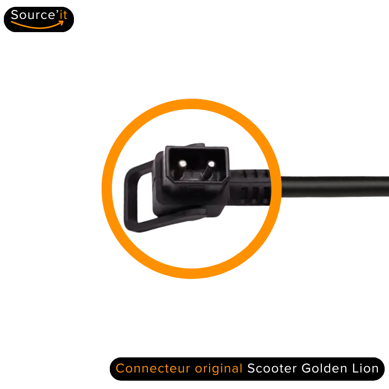 Connecteur original du chargeur Golden Lion JS2B 3000W - Source'IT